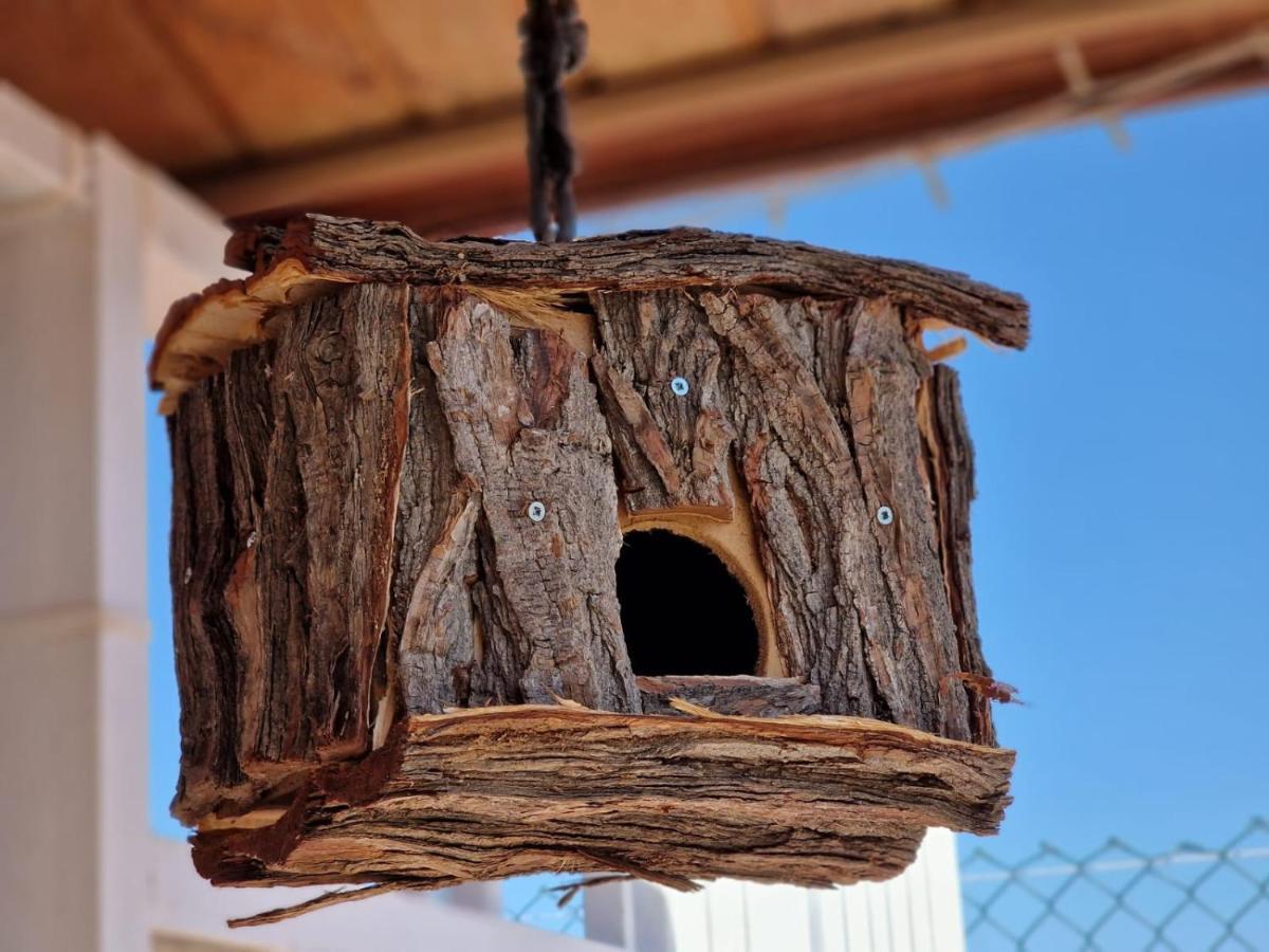 فيلا كانديلاريافي Rural San Antonio المظهر الخارجي الصورة